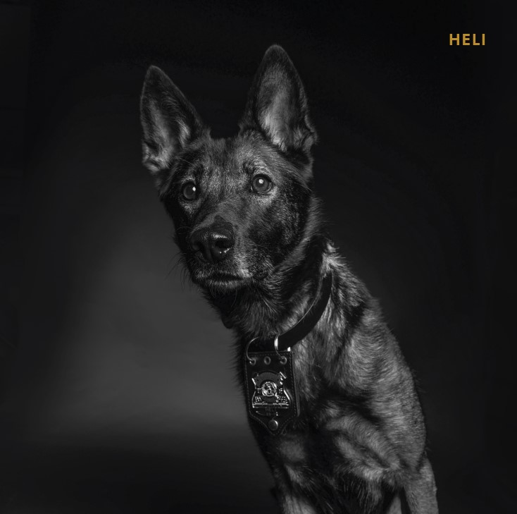 K-9 Officer Heli