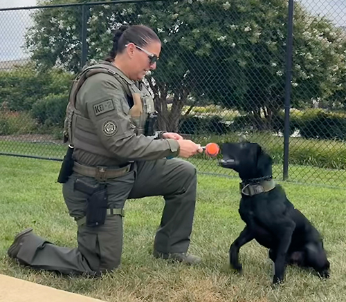 PFPA Police K-9 and Handler